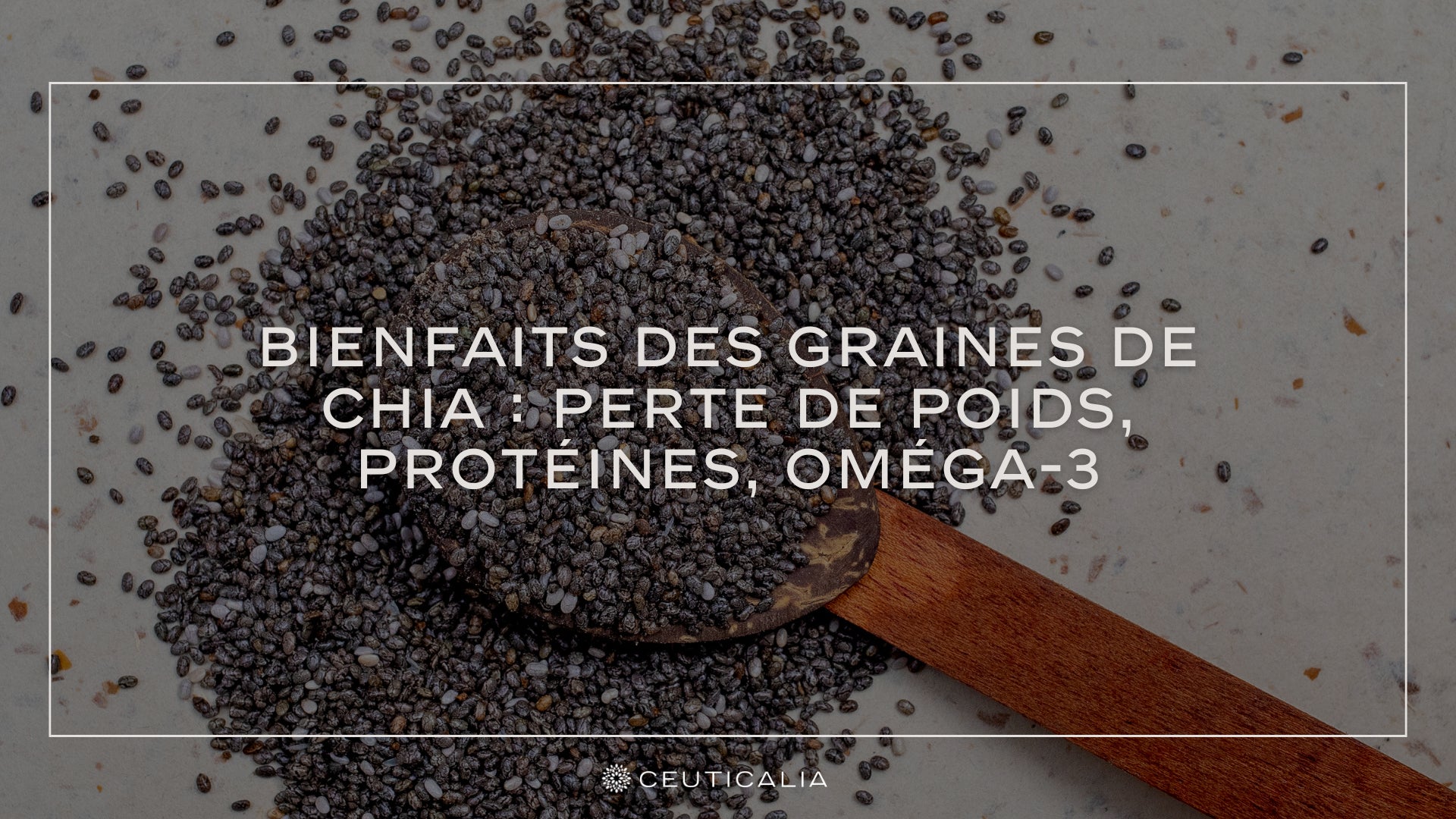 Bienfaits Des Graines De Chia : Perte De Poids, Protéines, Oméga-3 ...