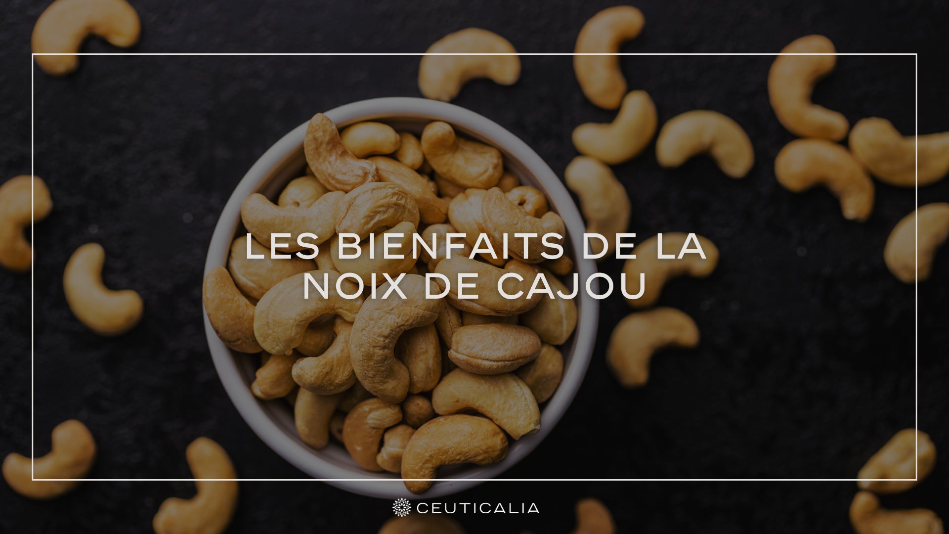 Les Bienfaits de la Noix de Cajou – Ceuticalia