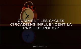 Les cycles circadiens jouent un rôle essentiel dans la régulation de nombreux aspects de notre santé, y compris la prise de poids. 