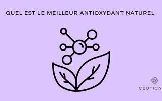 antioxydant 