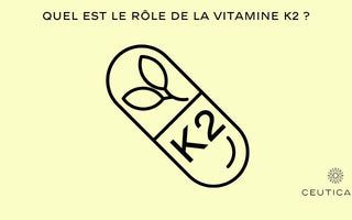 Quel est le rôle de la vitamine K2 ?