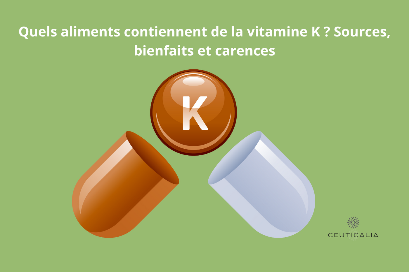 Quels aliments contiennent de la vitamine K ? Sources, bienfaits et carences