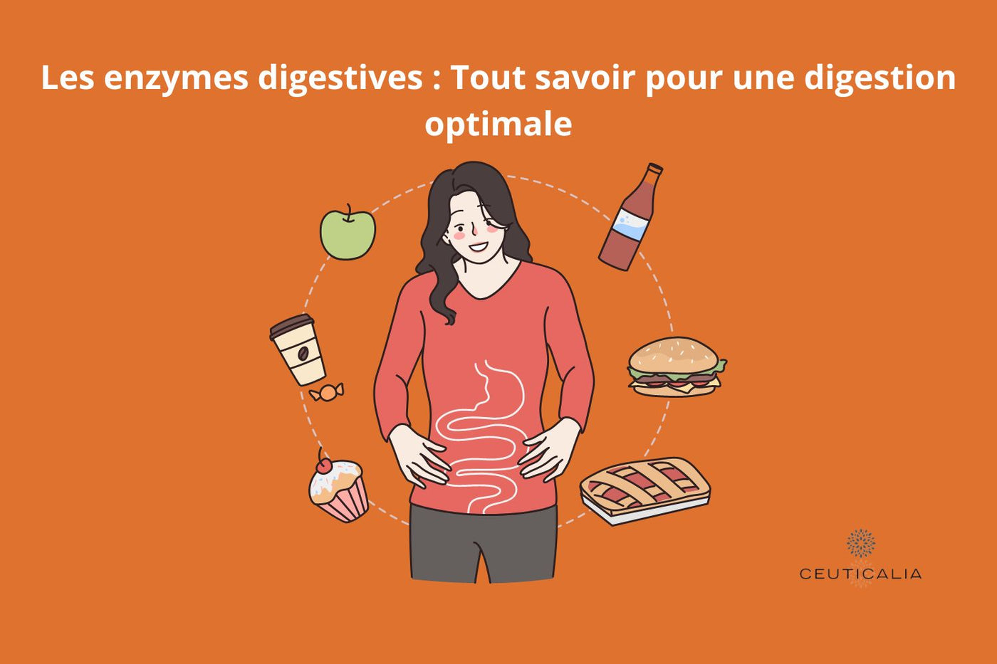 Les enzymes digestives : Tout savoir pour une digestion optimale