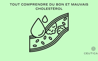 Tout comprendre du bon et mauvais cholestérol