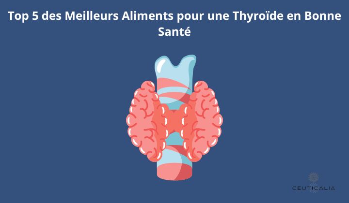 Thyroïde 