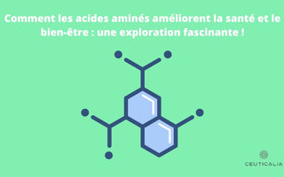 acides aminés
