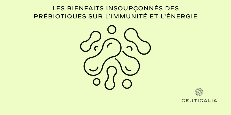 Les bienfaits insoupçonnés des prébiotiques sur l’immunité et l’énergie