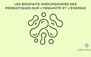 Les bienfaits insoupçonnés des prébiotiques sur l’immunité et l’énergie