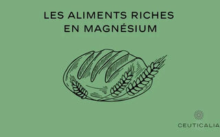Illustration d'un pain entouré d'épis de blé sur fond vert avec le texte 'Les aliments riches en magnésium', logo de Ceuticalia en bas
