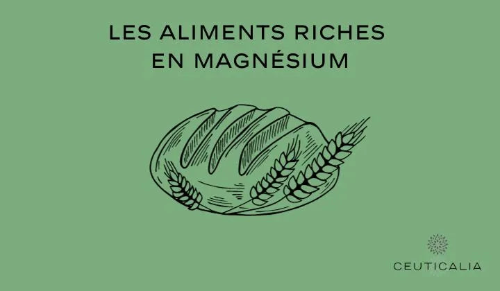 Illustration d'un pain entouré d'épis de blé sur fond vert avec le texte 'Les aliments riches en magnésium', logo de Ceuticalia en bas