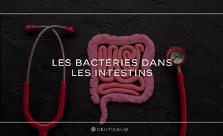 Image promotionnelle de CEUTICALIA avec un visuel combinant un stéthoscope médical et un schéma rose des intestins, sur fond noir, pour illustrer l'article de blog intitulé 'Les bactéries dans les intestins