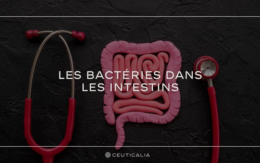 Image promotionnelle de CEUTICALIA avec un visuel combinant un stéthoscope médical et un schéma rose des intestins, sur fond noir, pour illustrer l'article de blog intitulé 'Les bactéries dans les intestins