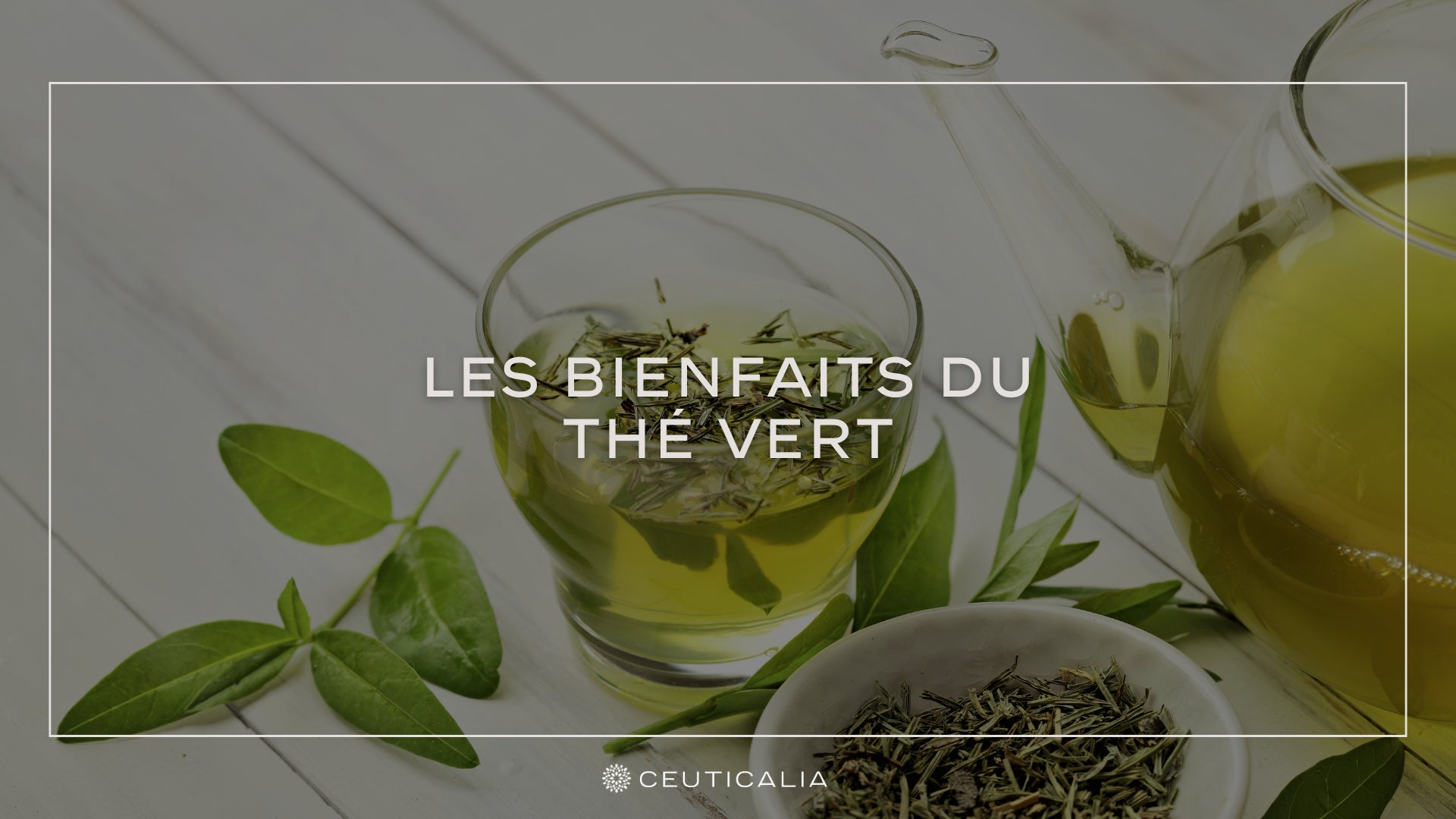 Les Bienfaits du Thé Vert – Ceuticalia