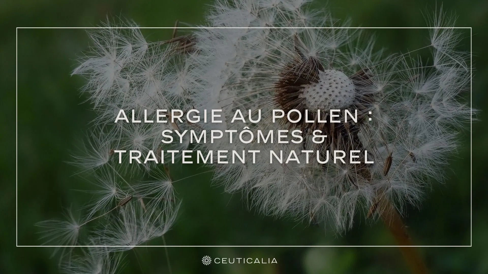 Allergie au Pollen Symptômes & Traitement Naturel Ceuticalia