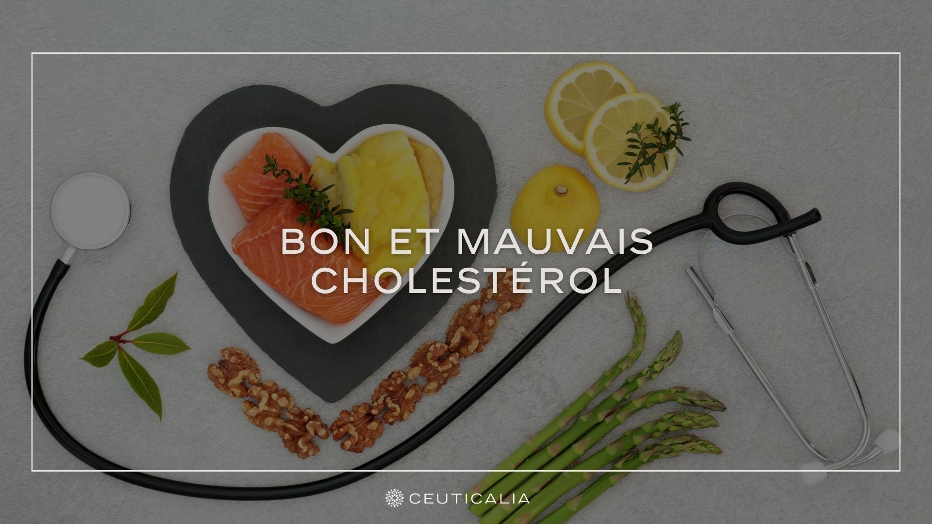 Tout Comprendre au Bon et Mauvais Cholestérol Ceuticalia