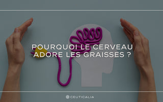 Si les oméga-3 sont bien connus pour leurs effets bénéfiques sur le cerveau, ils ne sont pas les seuls acides gras dont il a besoin pour fonctionner de manière optimale.