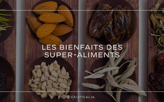 les bienfaits des super-aliments algues huiles fruits graines épices renforcement du système immunitaire