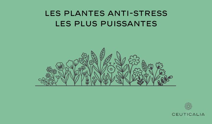 Les Plantes Antistress les Plus Puissantes – Ceuticalia