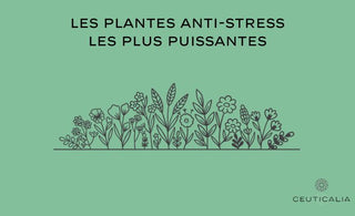 les plantes antistress les plus puissantes